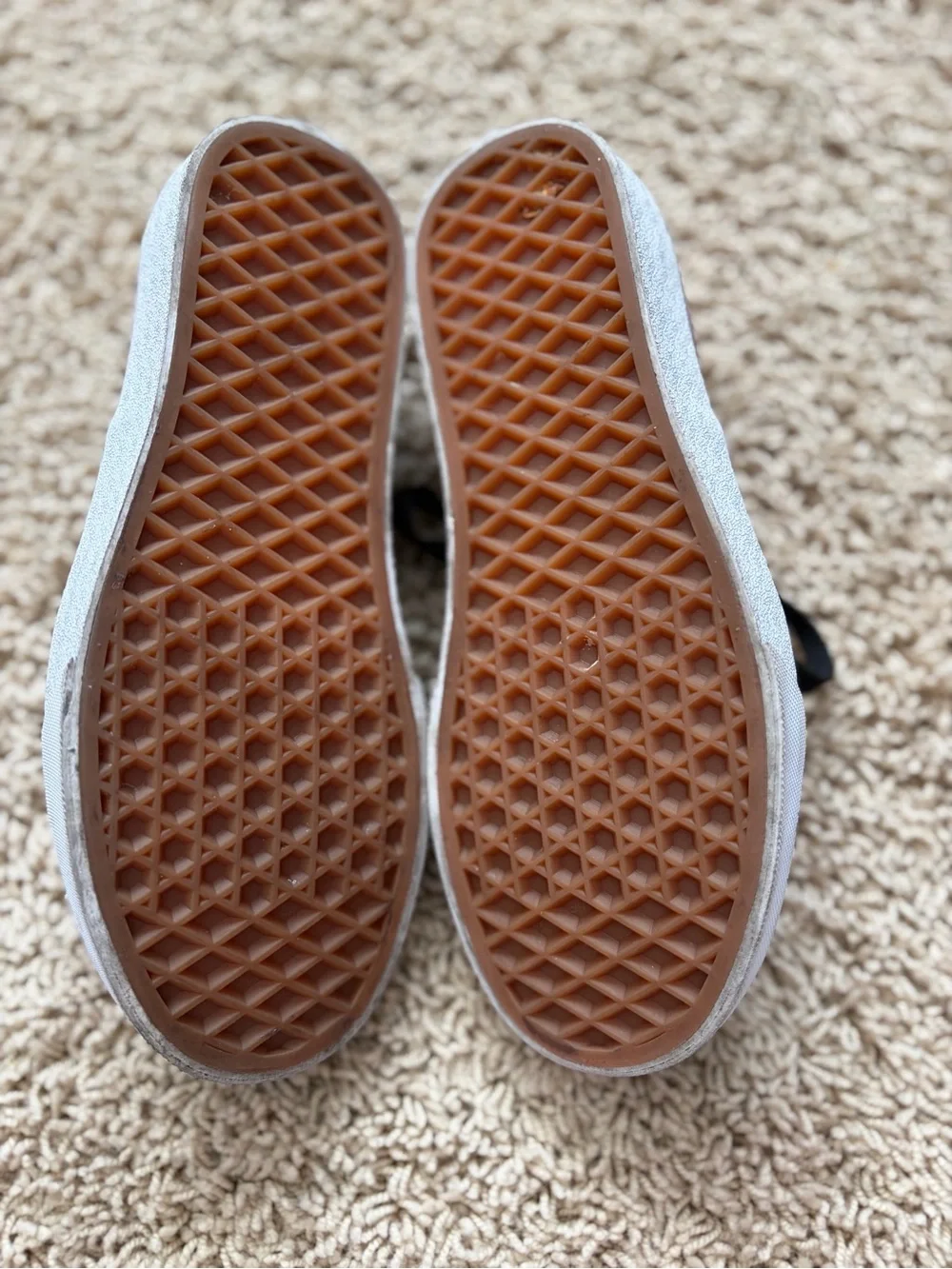 Vans Maroon Canvas Low-Top Sneakers with Black Laces